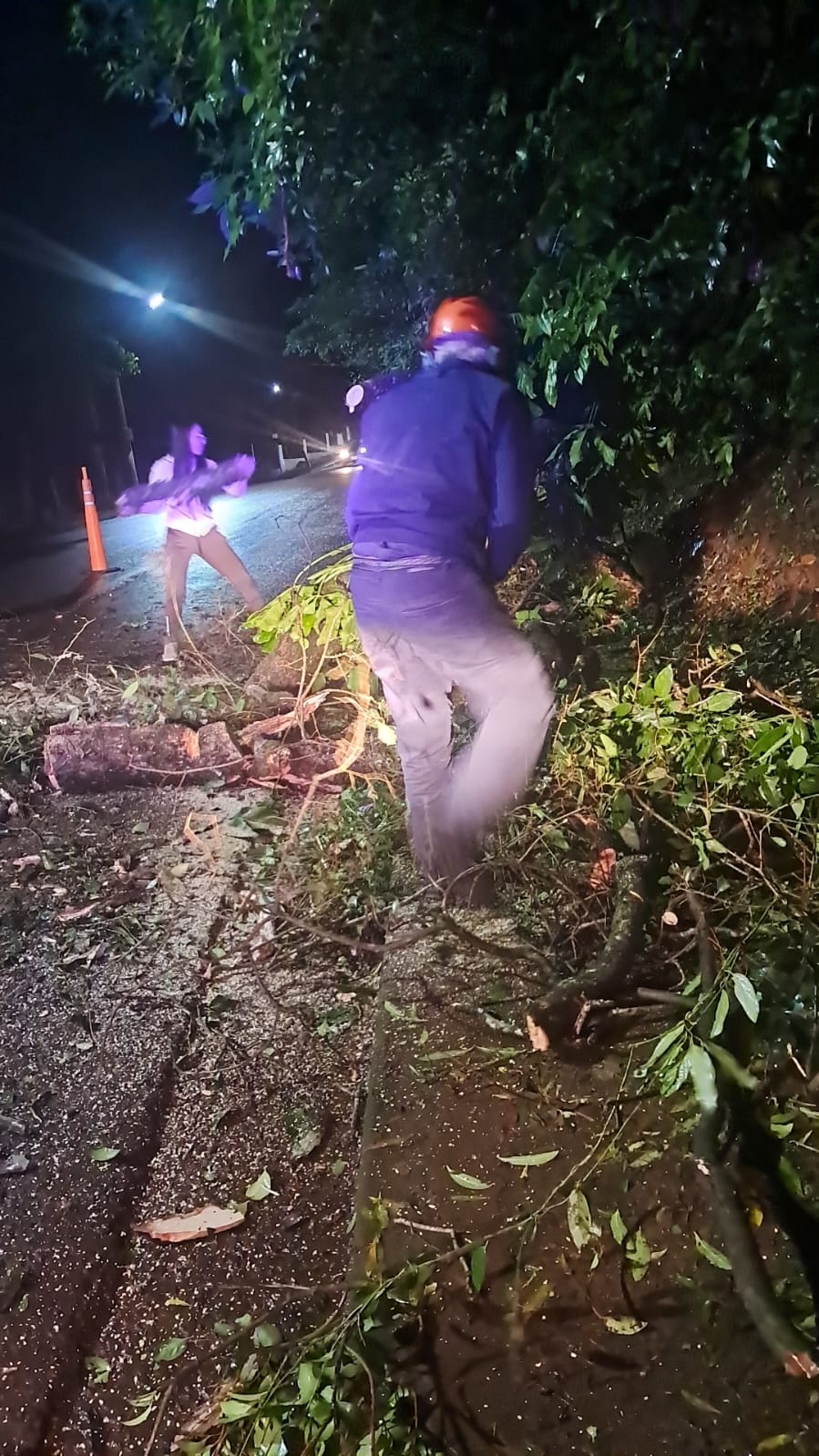 Un árbol cayó sobre calle Alemania de Eldorado 2